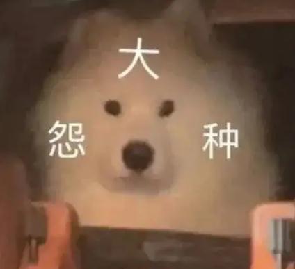 ��ԩ��ʲô��˼��� ԩ�ֽ��ù������������